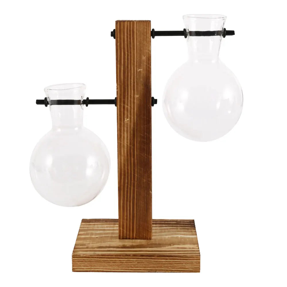 Glass Bulb Hydroponic Vase with Wooden Stand