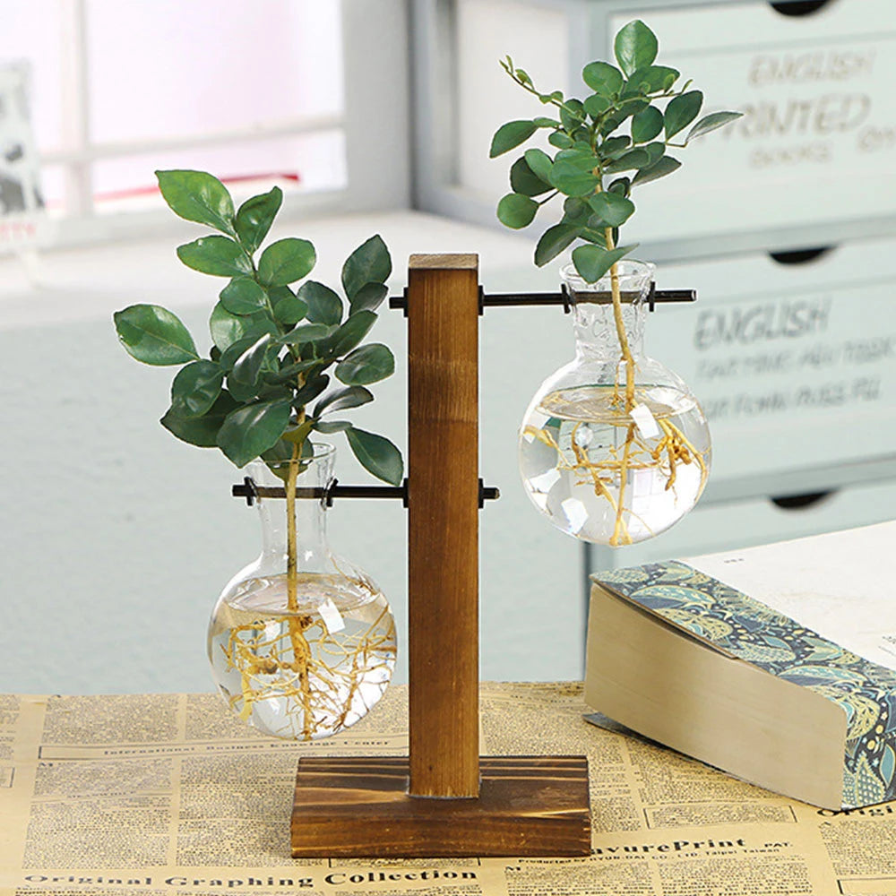 Glass Bulb Hydroponic Vase with Wooden Stand