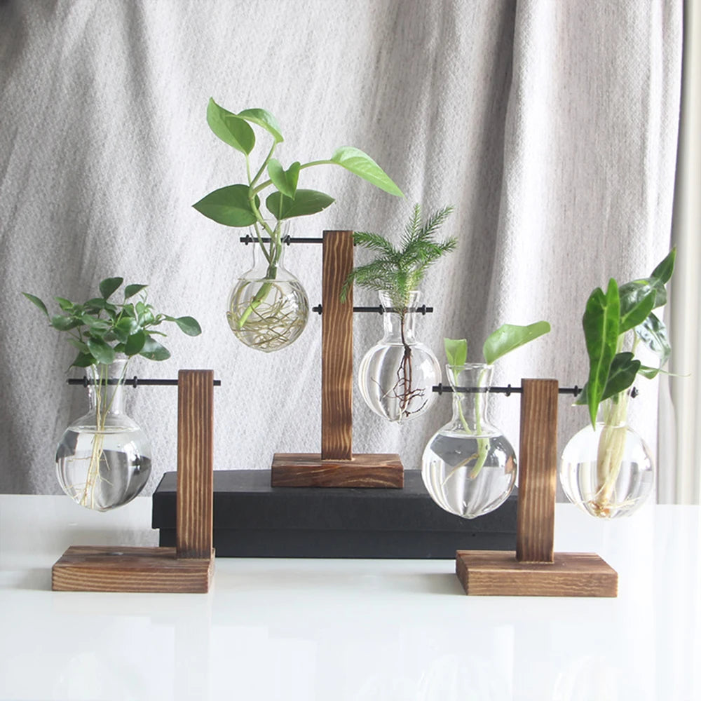 Glass Bulb Hydroponic Vase with Wooden Stand